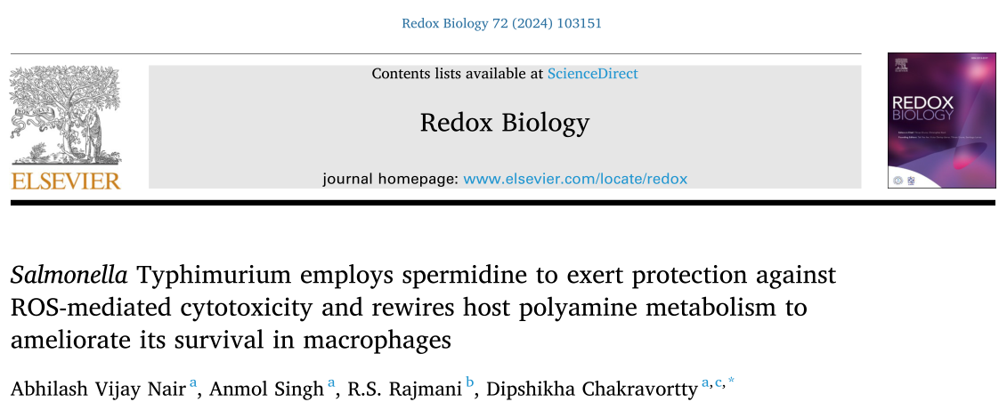 Redox Biology：亚精胺在沙门氏菌抗逆性中的关键作用 健康知识 第1张