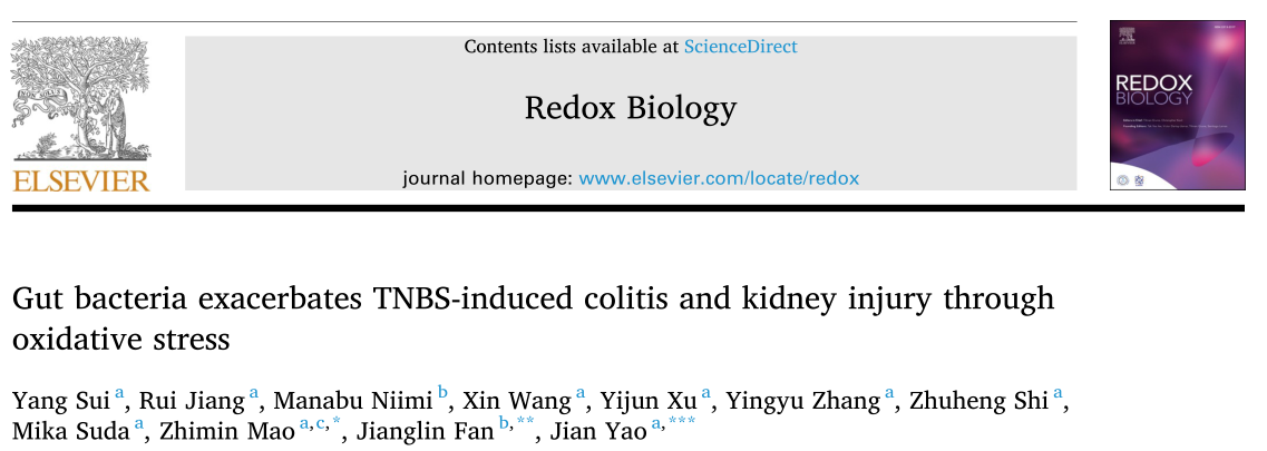 Redox Biology：肠道细菌通过氧化应激加剧TNBS诱导的结肠炎和肾损伤 健康知识 第1张