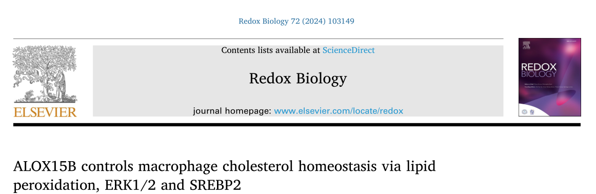 Redox Biology：ALOX15B通过脂质过氧化、ERK1/2和SREBP2控制巨噬细胞胆固醇稳态 健康知识 第1张