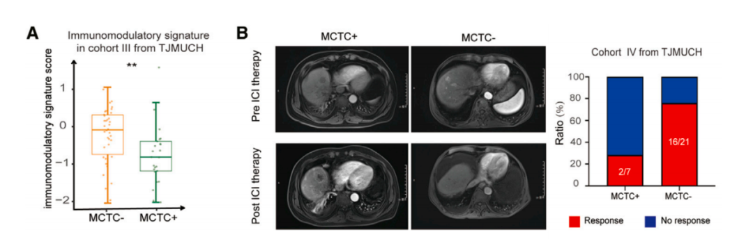 CRM：天津医科大学团队揭秘促癌巨噬细胞为T细胞布下的“天罗地网”！ 健康知识 第3张
